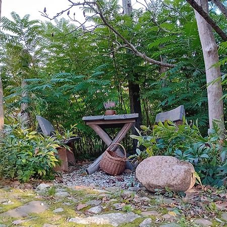 Stara Szkolas7 Noclegi,Mzajezierze 8 14-330 Mazury Małdyty Exteriör bild